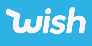 How to Sell Products on Wish Website